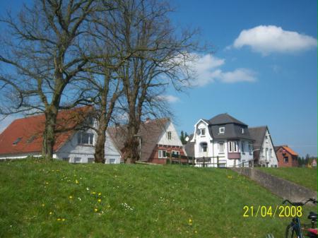 Blick ber den Deich - Oberndorf Oste